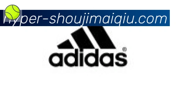 手机买球官网合作伙伴